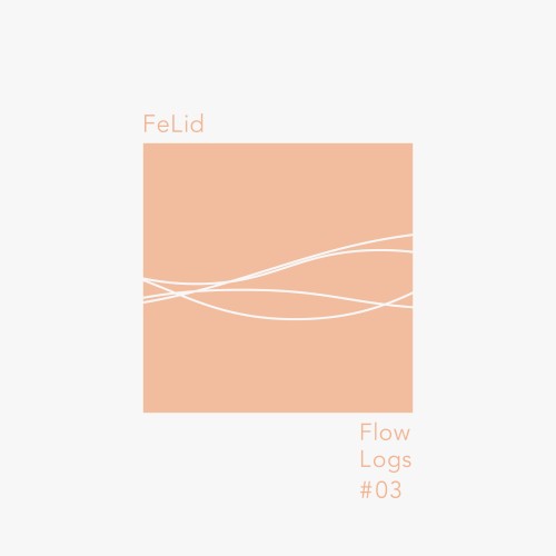 FLow Logs #03