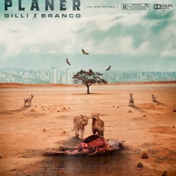 Planer