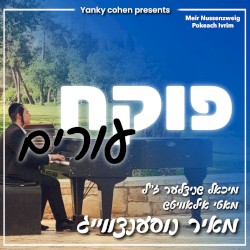 פוקח עורים