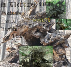 Un ancêtre retiré du chemin de la sévérité trouvée en lui