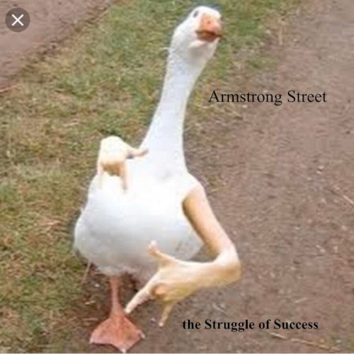 The Struggle of Success