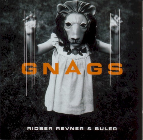 Ridser, revner & buler