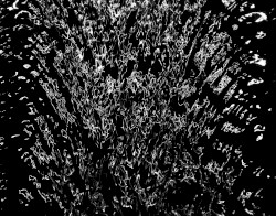 ALLOTROPY