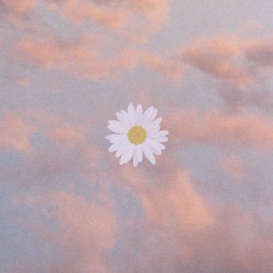 where are you