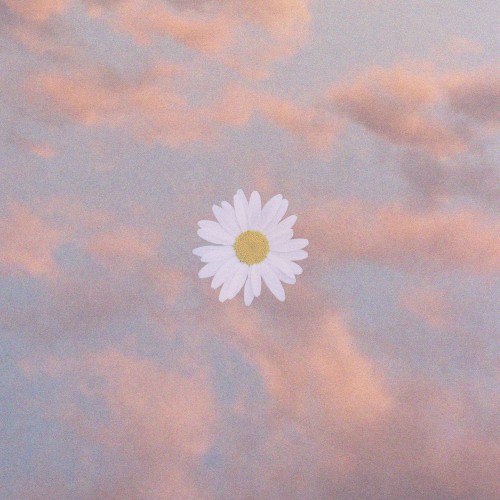where are you
