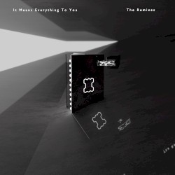 It Means Everything to You (The Remixes)