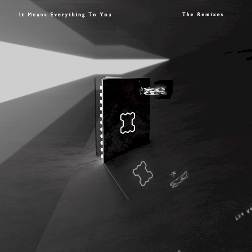 It Means Everything to You (The Remixes)