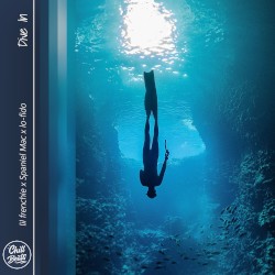Dive In