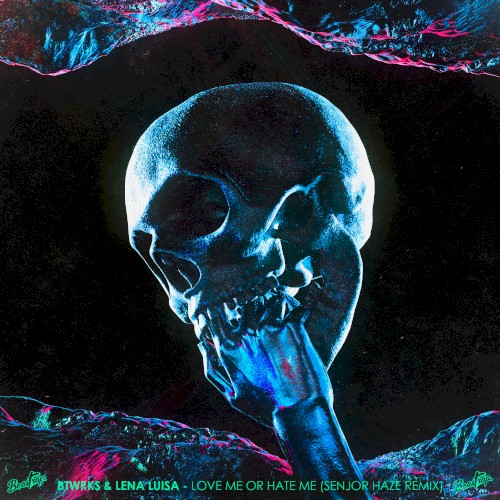Love Me Or Hate Me (Senjor Haze remix)