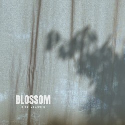 Blossom