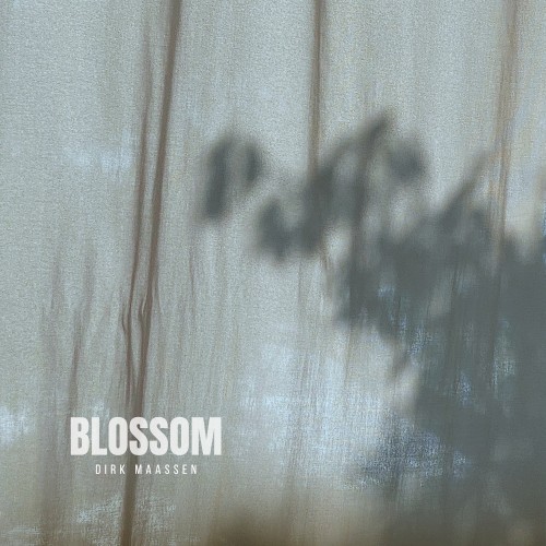 Blossom