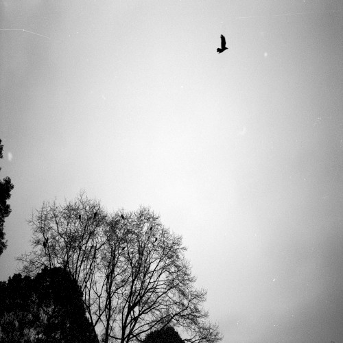 On the Wings of Time