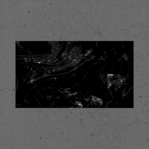 Black Rabbit Taxi / Gvillotina