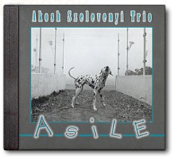 Asile