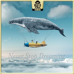 Never Stop Dreaming