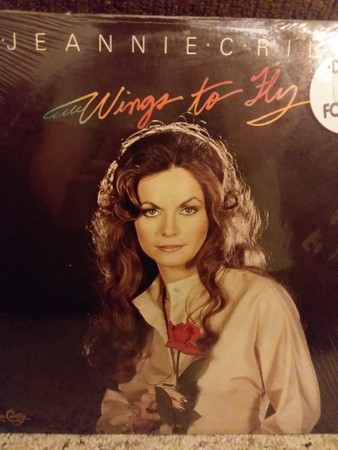 Wings to Fly