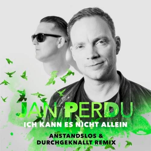 Ich kann es nicht allein (Anstandslos & Durchgeknallt remix)