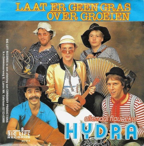 Laat er geen gras over groeien / Allemaal flauwekul