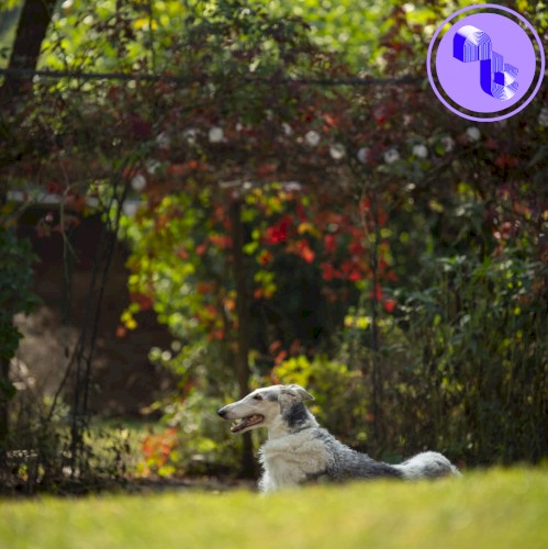 Guardians of Gardens