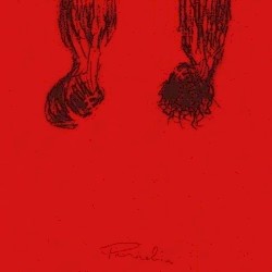 PARHELIA