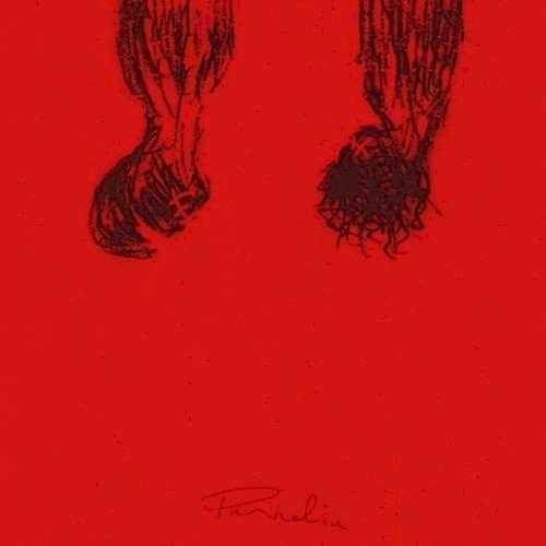 PARHELIA
