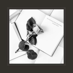 The Tortured Poets Department (The Anthology): Piano Instrumentals