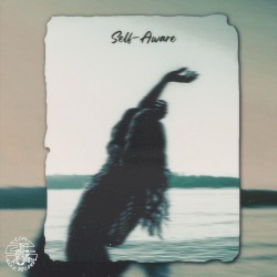 Self‐Aware