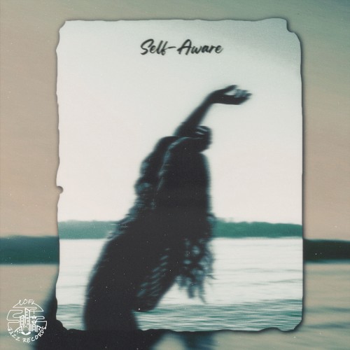 Self‐Aware