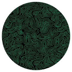 FR022