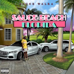 Sauce Beach Florida