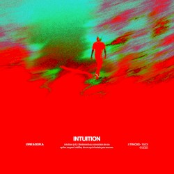 INTUITION