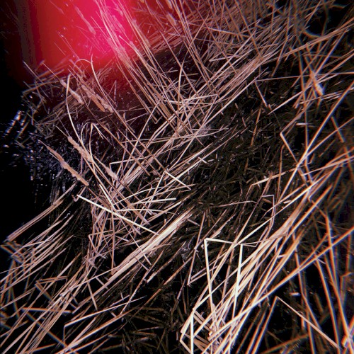 Chain Reaction at Dusk