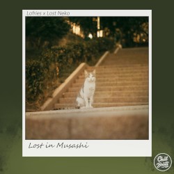 Lost in Musashi