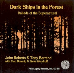 Dark Ships in the Forest