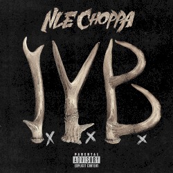 I.Y.B.