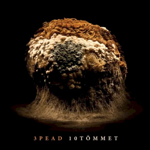 10Tõmmet
