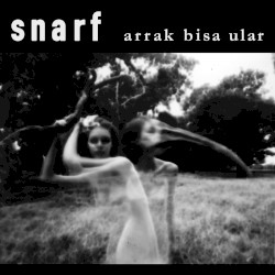 Arrak Bisa Ular