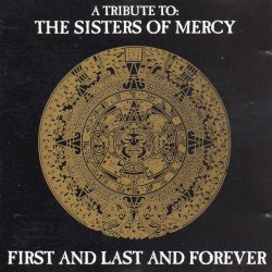 A Tribute to the Sisters of Mercy: First and Last and Forever