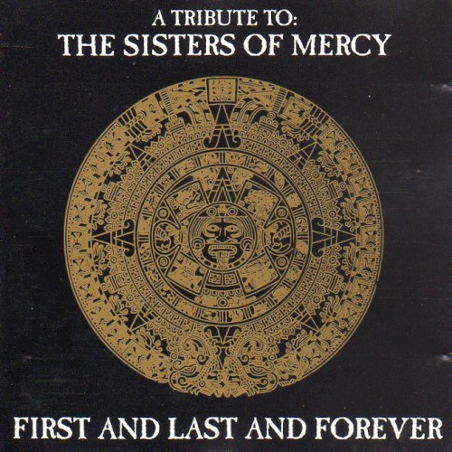 A Tribute to the Sisters of Mercy: First and Last and Forever