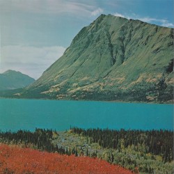 feelings in Springtime. [ep]