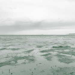 Traces
