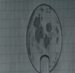 FuLLuck．Moon