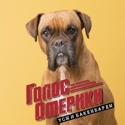 Усы и бакенбарды