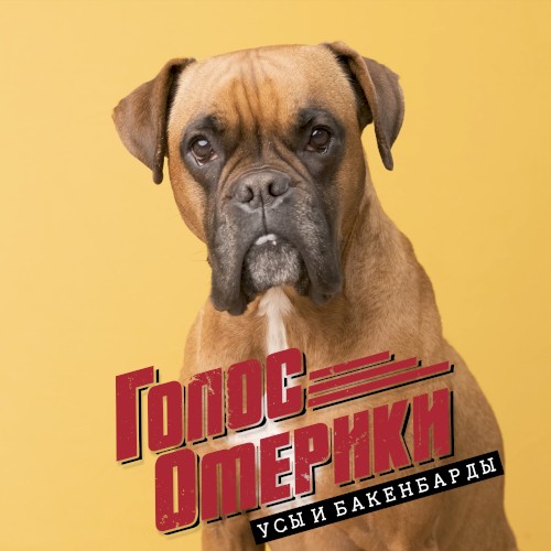 Усы и бакенбарды