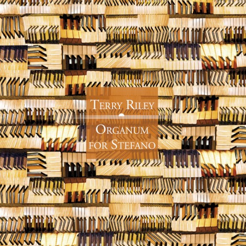 Organum for Stefano