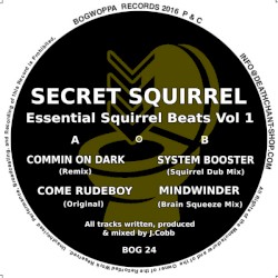 Essential Squirrel Beats Vol 1