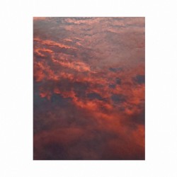 Dawn Embers