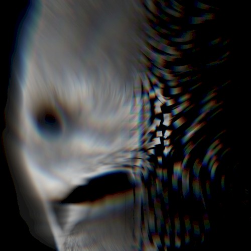 VEIDRIK