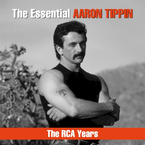 The Essential Aaron Tippin