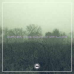 after the rain // up late